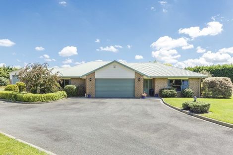 Photo of property in 4 Bella Court, Feilding, 4702