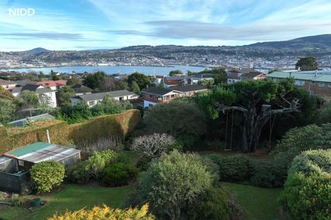 Photo of property in 115 Belford Street, Waverley, Dunedin, 9013