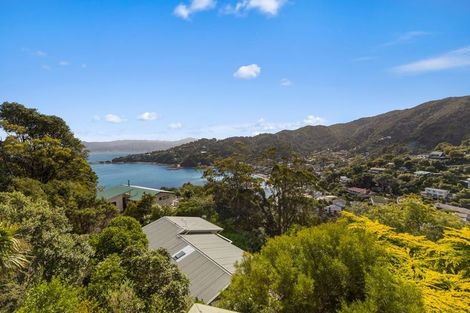Photo of property in 55 Waitohu Road, York Bay, Lower Hutt, 5013