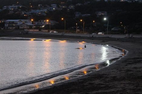 Photo of property in 20u3 Trent Street, Island Bay, Wellington, 6023