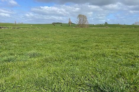 Photo of property in 81 Arapuni Road, Putaruru, 3481