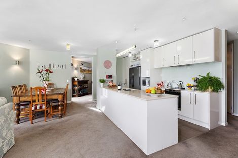 Photo of property in 2b/22 Telford Terrace, Oriental Bay, Wellington, 6011