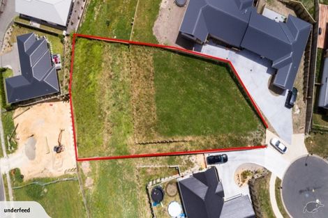 Photo of property in 41 Moira Close, Welcome Bay, Tauranga, 3175