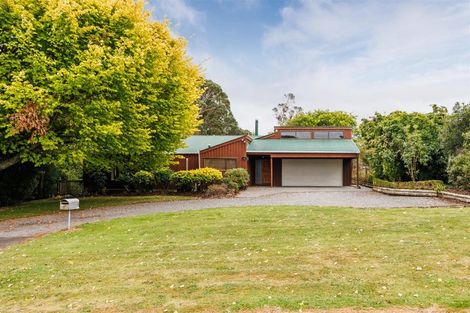 Photo of property in 40 Milne Street, Marton, 4710