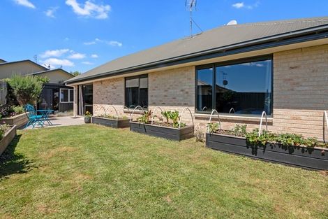 Photo of property in 116 Templemore Drive, Richmond, 7020