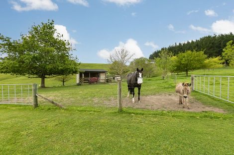 Photo of property in 180a Tikokino Road, Waipawa, 4273