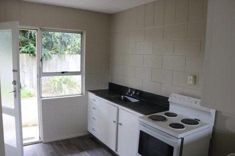 Photo of property in 4/45 Berry Street, St Albans, Christchurch, 8014