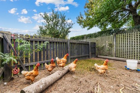 Photo of property in 19 Waterholes Road, Springston, Christchurch, 7674