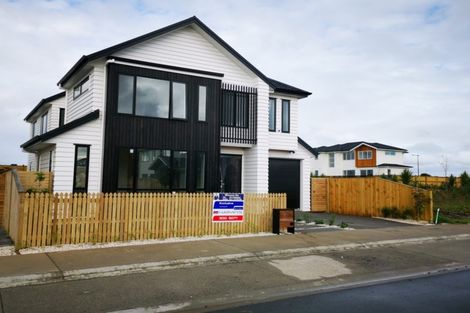 Photo of property in 41 Myland Drive, Hobsonville, Auckland, 0616