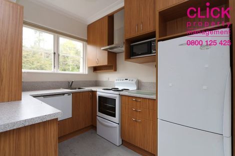 Photo of property in 4b Alva Street, Dunedin Central, Dunedin, 9016
