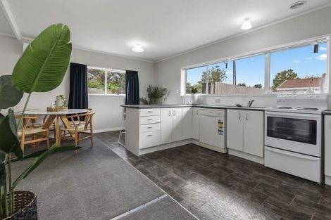 Photo of property in 138 Nixon Street, Hamilton East, Hamilton, 3216
