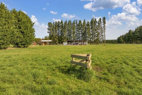 Photo of property in 185 Worlingham Road, Eyrewell, Rangiora, 7476