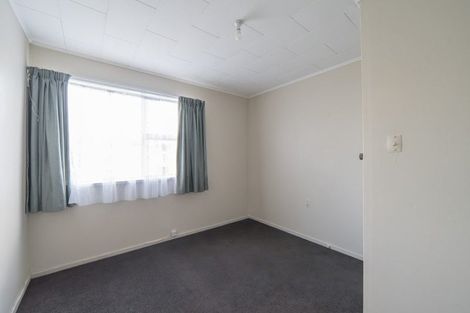 Photo of property in 163 Galloway Street, Hamilton East, Hamilton, 3216