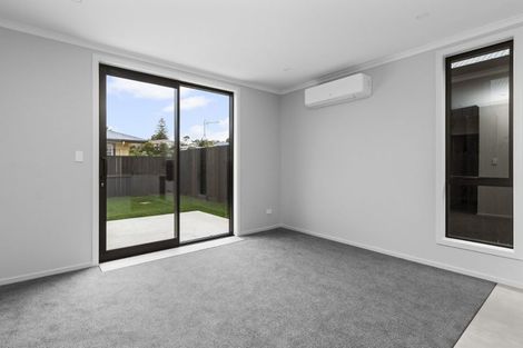 Photo of property in 4u2 Carey Street, Maeroa, Hamilton, 3200
