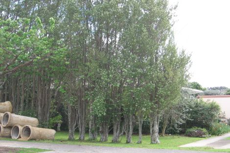 Photo of property in 71 Milton Road, Otumoetai, Tauranga, 3110