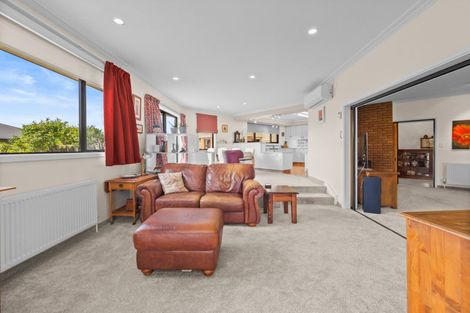 Photo of property in 14 Connor Place, Netherby, Ashburton, 7700