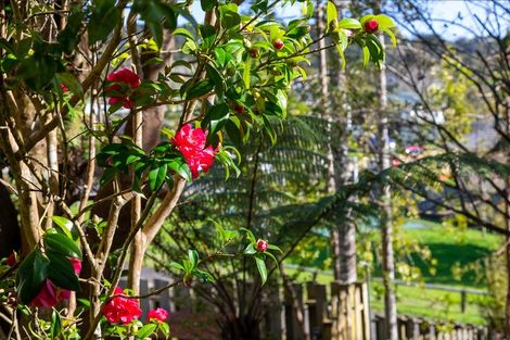 Photo of property in 9 Onedin Place, Titirangi, Auckland, 0604