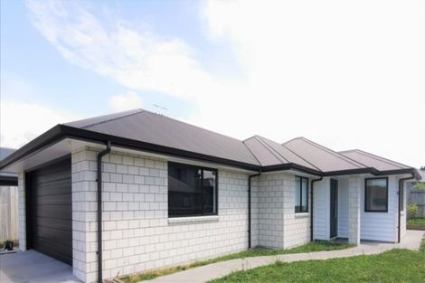 Photo of property in 14 Macloughlin Drive, Te Puke, 3119