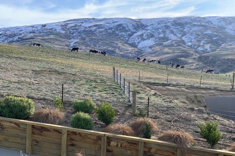 Photo of property in 259 Heaney Road, Cromwell, 9384