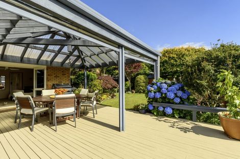 Photo of property in 6 Rochester Place, Bethlehem, Tauranga, 3110