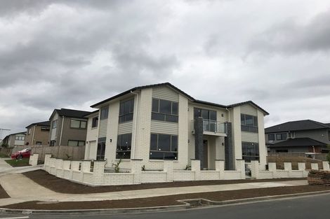Photo of property in 1 Castlebane Drive, Flat Bush, Auckland, 2019