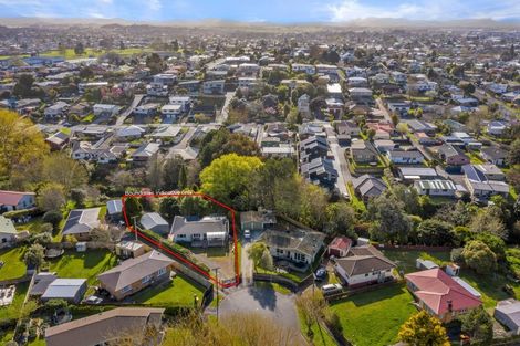 Photo of property in 29 Olwyn Terrace, Dinsdale, Hamilton, 3204