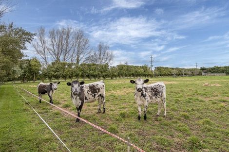 Photo of property in 478 Newtons Road, Rolleston, Christchurch, 7675