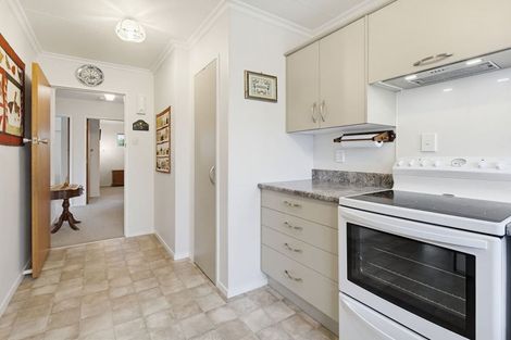 Photo of property in 45 Dittmer Drive, Awapuni, Palmerston North, 4412