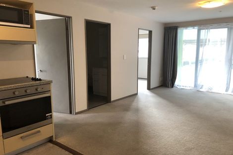 Photo of property in Dual Apartments, 301/142u Vivian Street, Te Aro, Wellington, 6011