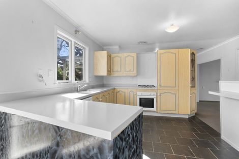 Photo of property in 17 Brown Street, Hamilton East, Hamilton, 3216