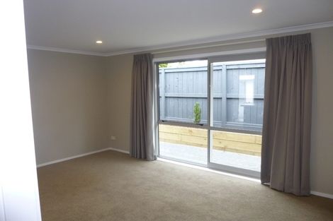 Photo of property in 3u1 Edgecumbe Street, Whitiora, Hamilton, 3200