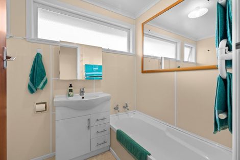 Photo of property in 164 Limbrick Street, Terrace End, Palmerston North, 4410