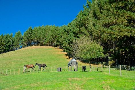 Photo of property in 1215 Wharekopae Road, Ngatapa, Gisborne, 4072