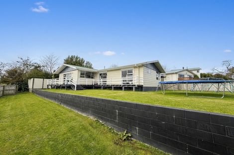 Photo of property in 97 Arawa Crescent, Tokoroa, 3420