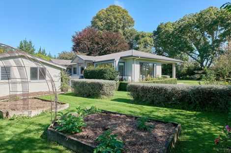 Photo of property in 32 Woodbury Road, Orari Bridge, Geraldine, 7991