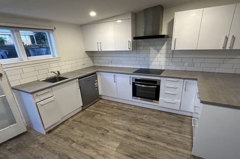 Photo of property in 47 Cygnet Street, North New Brighton, Christchurch, 8083