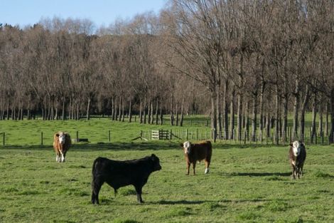 Photo of property in State Highway 1, Otaki, 5512