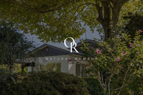 Photo of property in 117r Moffat Road, Bethlehem, Tauranga, 3110