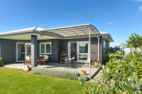 Photo of property in 13 Cherry Place, Feilding, 4702