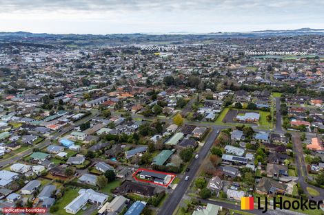 Photo of property in 16 Puriri Road, Pukekohe, 2120