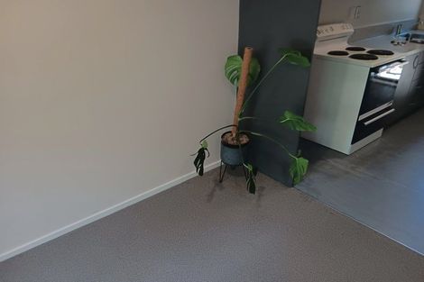 Photo of property in 67 Fairfield Avenue, Addington, Christchurch, 8024