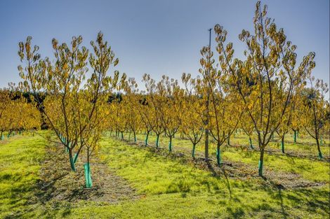 Photo of property in 83 Mount Erin Road, Pukahu, Hastings, 4172