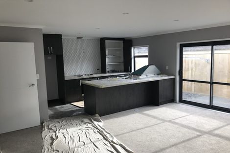 Photo of property in 16u1 Paterson Street, Frankton, Hamilton, 3204
