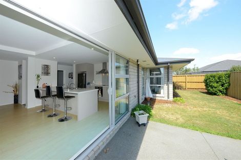 Photo of property in 38 Maltby Drive, Rolleston, 7615