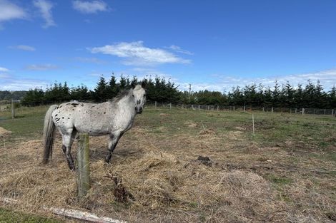 Photo of property in 10 Perth Street, Waikouaiti, 9510