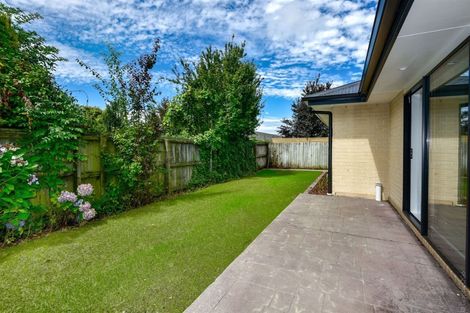 Photo of property in 49 Shannon Place, Belfast, Christchurch, 8051