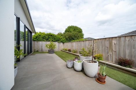 Photo of property in 7 Florence Street, Richmond, 7020