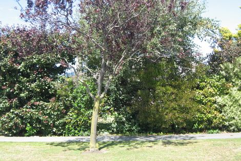 Photo of property in 15a Leistrella Road, Hoon Hay, Christchurch, 8025