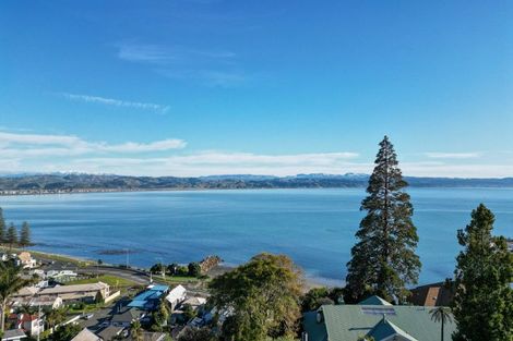 Photo of property in 33 Seapoint Road, Bluff Hill, Napier, 4110