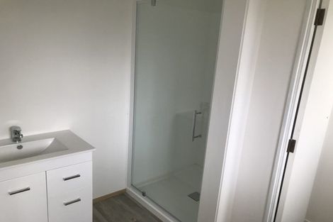 Photo of property in 249 Ulster Street, Whitiora, Hamilton, 3200